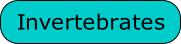 Invertebrates
