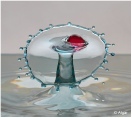 Water drops2 17.jpg