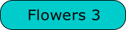 Flowers 3
