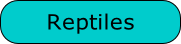 Reptiles
