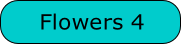 Flowers 4

